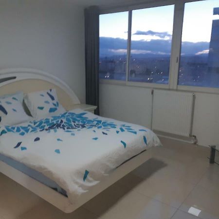 Appartement Laurent Bonnevay Villeurbanne Buitenkant foto