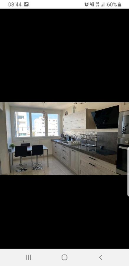 Appartement Laurent Bonnevay Villeurbanne Buitenkant foto
