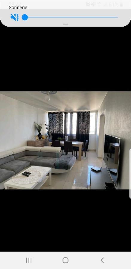 Appartement Laurent Bonnevay Villeurbanne Buitenkant foto