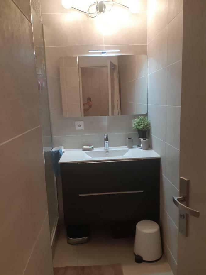 Appartement Laurent Bonnevay Villeurbanne Buitenkant foto